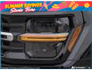 2026 Ford F-150 XLT (Stk: W3LM339T1) in Sault Ste. Marie - Image 10 of 26