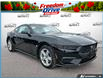 2026 Ford Mustang EcoBoost (Stk: OFL6G009) in Oakville - Image 1 of 23