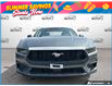 2026 Ford Mustang EcoBoost (Stk: OFL6G016) in Oakville - Image 2 of 23
