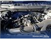2025 Ford F-150 XL (Stk: TS562) in Kamloops - Image 10 of 24