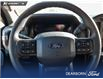 2025 Ford F-150 XL (Stk: TS562) in Kamloops - Image 13 of 24