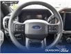 2025 Ford F-150 STX (Stk: TS647) in Kamloops - Image 13 of 25