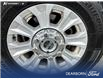 2021 Ford F-250 XLT (Stk: MT223A) in Kamloops - Image 6 of 24