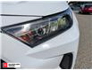 2023 Toyota RAV4 LE (Stk: S61261T) in Salmon Arm - Image 8 of 25