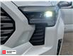 2024 Toyota Tacoma Hybrid Base (Stk: S00658LP) in Salmon Arm - Image 10 of 25