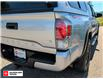 2022 Toyota Tacoma Base (Stk: S56424P) in Salmon Arm - Image 12 of 25 2022 Toyota Tacoma Base (Stk: S56424P) in Salmon Arm - Image 12 of 25