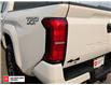 2025 Toyota Tacoma Base (Stk: S63827P) in Salmon Arm - Image 10 of 25
