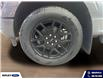 2026 Ford F-150 STX (Stk: 26234) in Melfort - Image 9 of 18