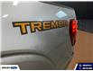 2024 Ford F-150 Tremor (Stk: 26186A) in Melfort - Image 8 of 19