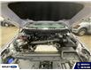 2024 Ford F-150 Tremor (Stk: 26186A) in Melfort - Image 11 of 19