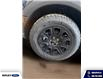 2026 Ford Bronco Sport Badlands (Stk: 26269) in Melfort - Image 9 of 19
