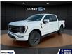 2023 Ford F-150 Tremor (Stk: 26232A) in Melfort - Image 1 of 16