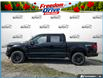 2026 Ford F-150 XLT (Stk: AFL260261) in Hamilton - Image 3 of 19
