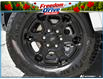 2026 Ford Ranger XLT (Stk: ELF26RA612) in St. Catharines - Image 8 of 26
