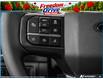 2026 Ford F-150 XLT (Stk: ELF6F174) in St. Catharines - Image 15 of 24