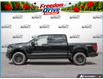 2026 Ford F-150 XLT (Stk: ELF6F162) in St. Catharines - Image 3 of 25