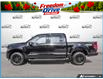 2026 Ford F-150 XLT (Stk: ELF6F198) in St. Catharines - Image 3 of 26