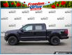 2026 Ford F-150 STX (Stk: ELF26F1417) in St. Catharines - Image 3 of 25