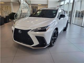 NX 350