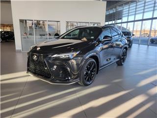 NX 350