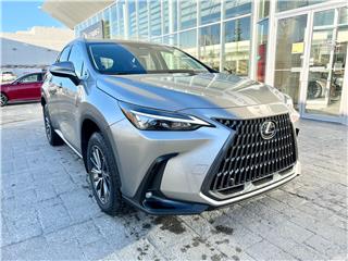 NX 250