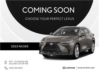 NX 350