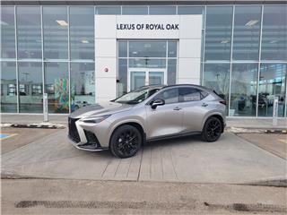 NX 350