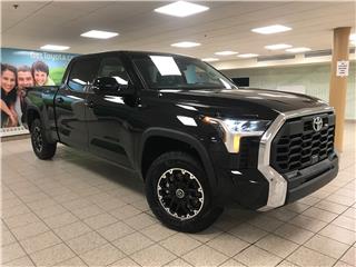 Tundra