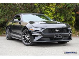2023 Ford Mustang EcoBoost Premium - 8,011km