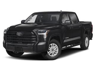 Tundra