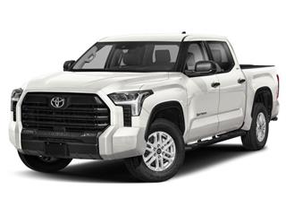 Tundra