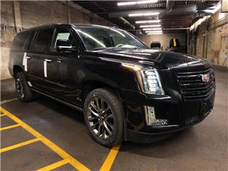 2020 Cadillac Escalade ESV